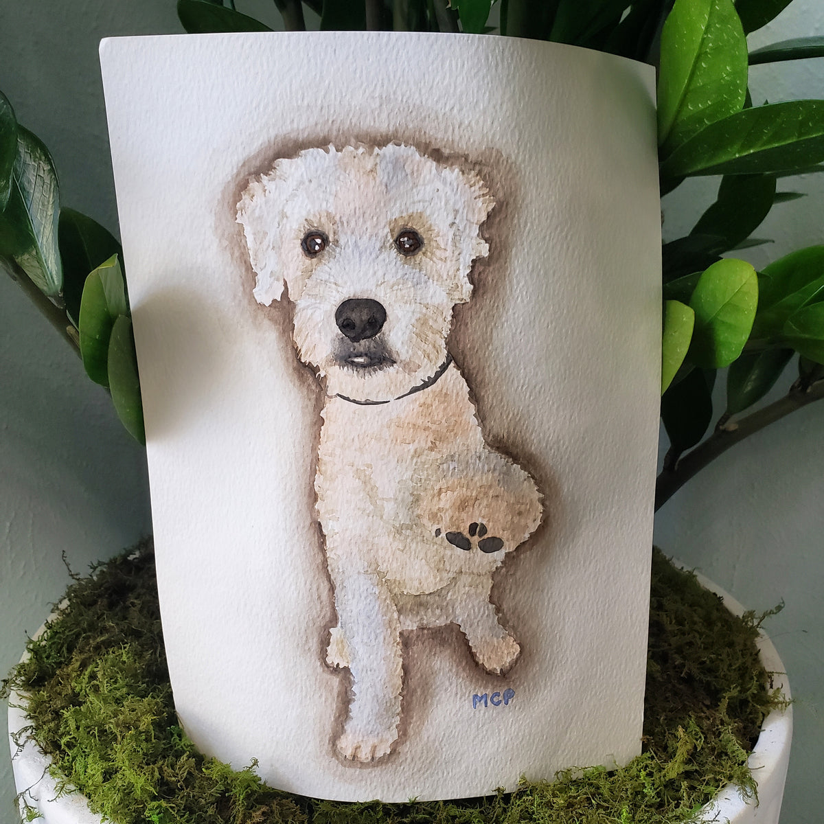 Watercolor Pet Portraits