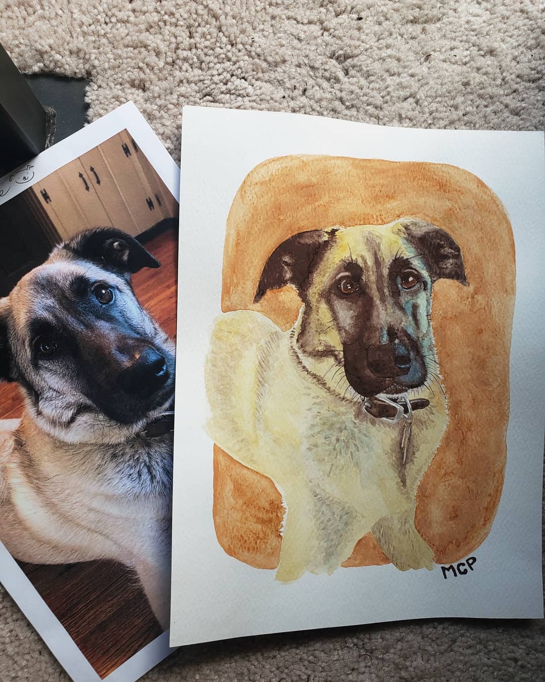 Watercolor Pet Portraits