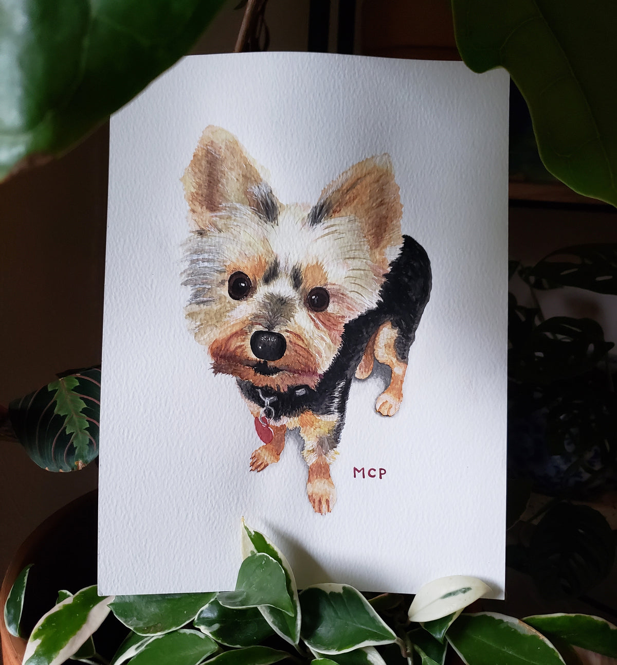 Watercolor Pet Portraits