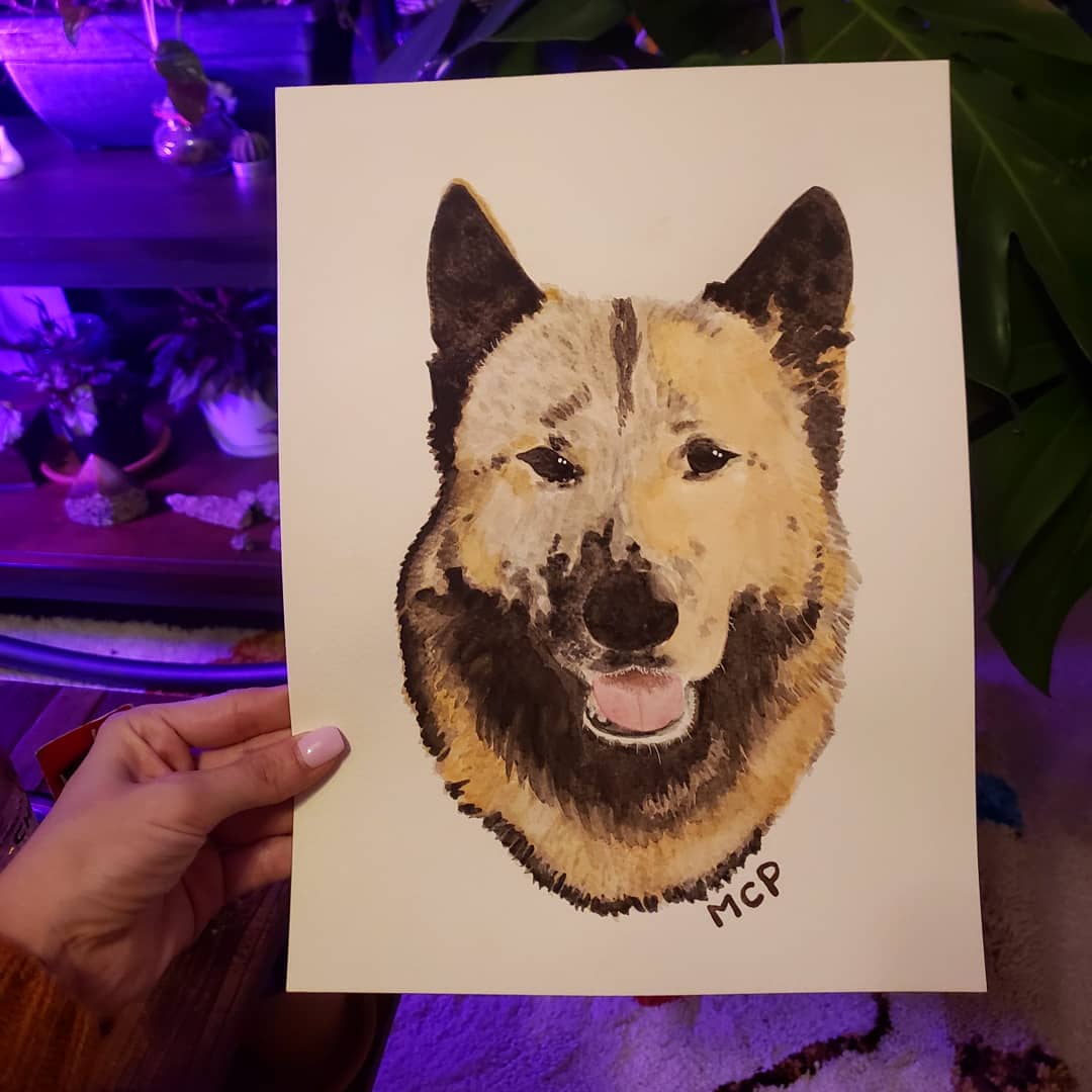 Watercolor Pet Portraits