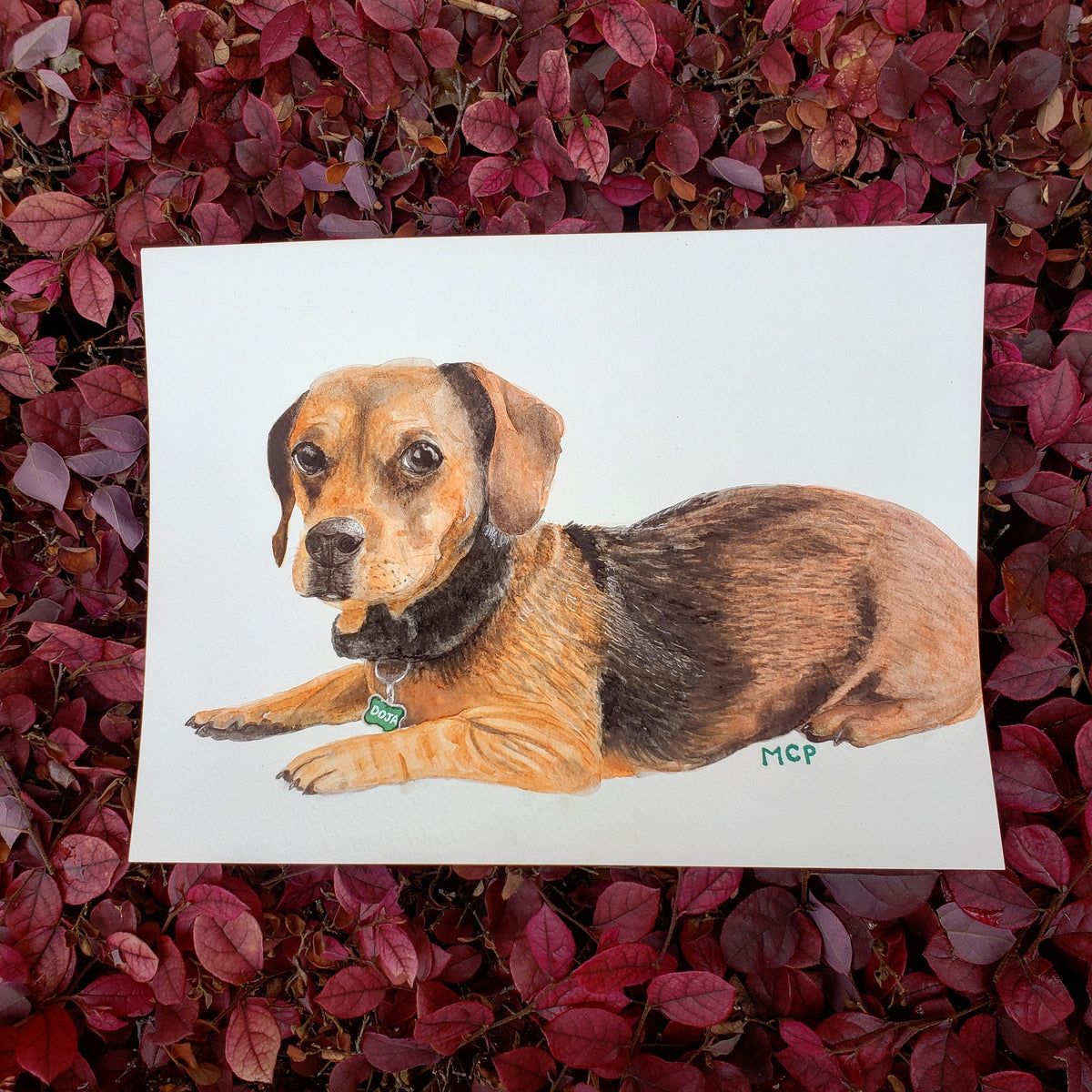 Watercolor Pet Portraits