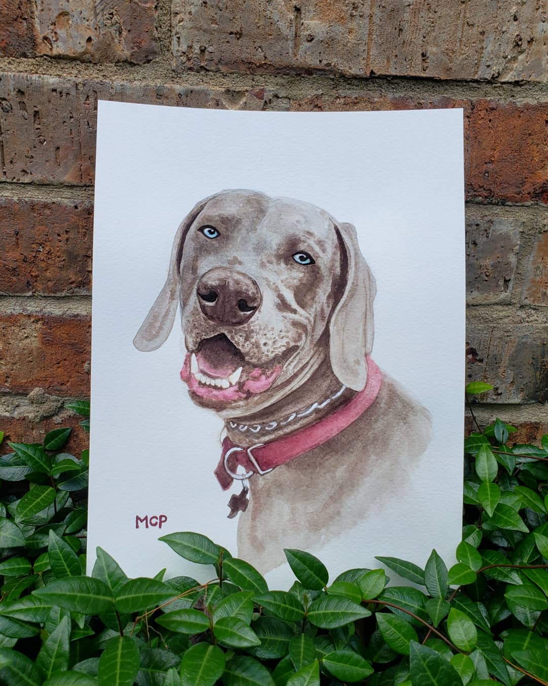 Watercolor Pet Portraits